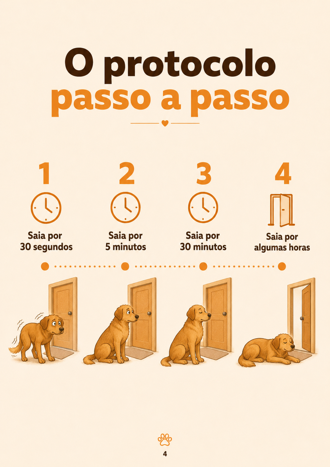 Módulo 2 - Protocolo passo a passo