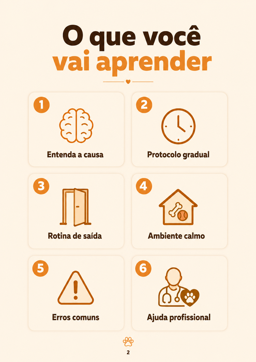 Sumário ilustrado do guia